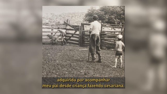 Depoimento Ricardo Guazelli
